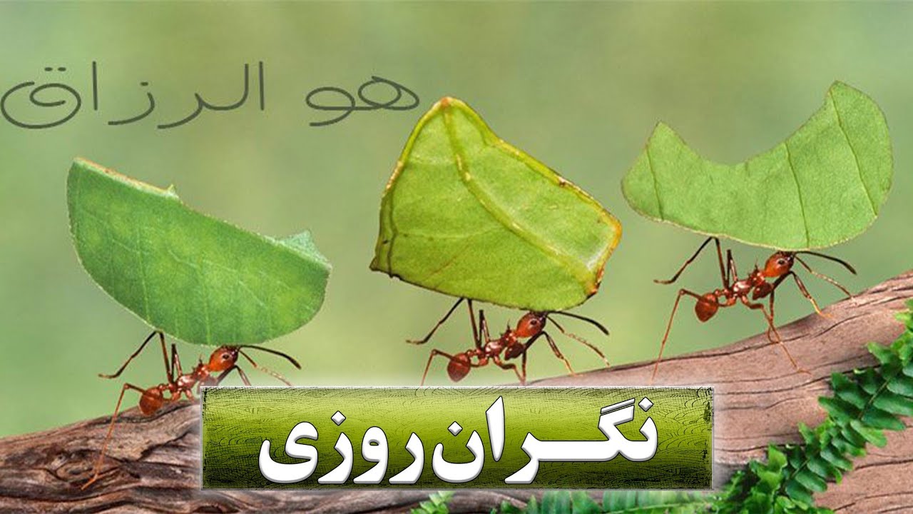 تصویر پیش بار گذاری